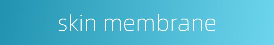 skin membrane的同义词