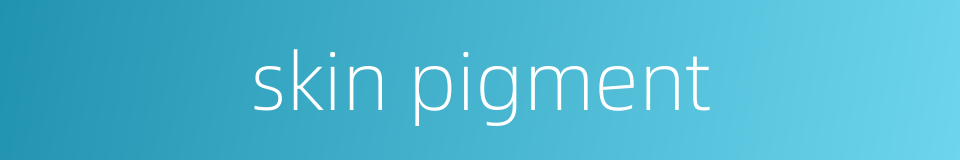 skin pigment的同义词