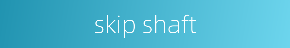 skip shaft的同义词
