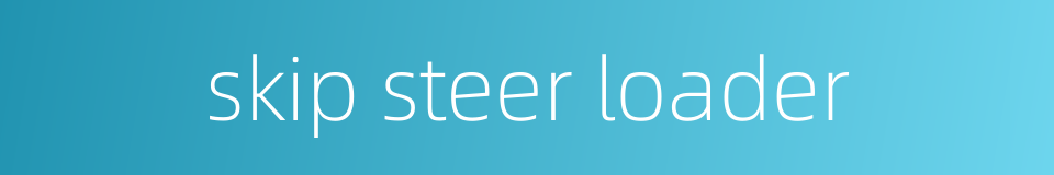 skip steer loader的同义词