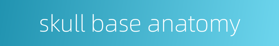 skull base anatomy的同义词