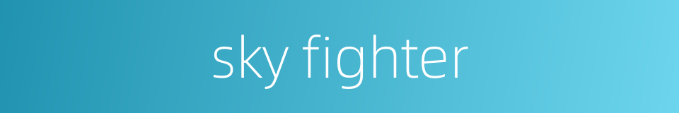 sky fighter的同义词