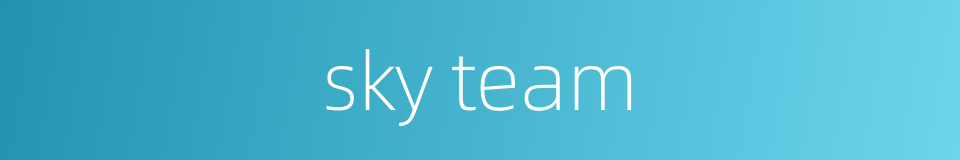 sky team的同义词