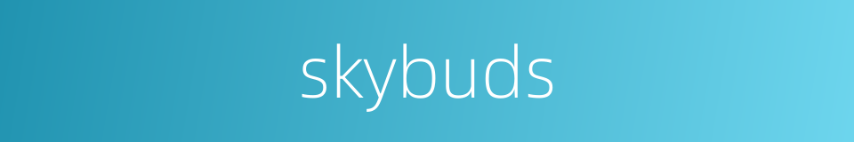 skybuds的同义词