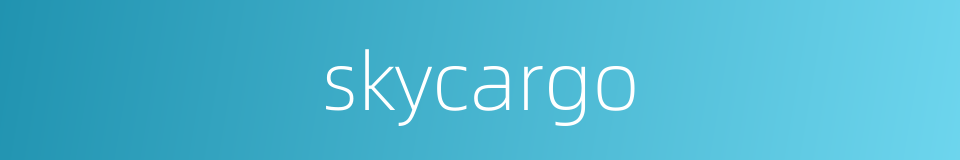 skycargo的同义词