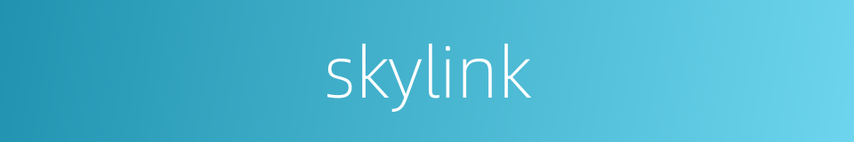skylink的同义词