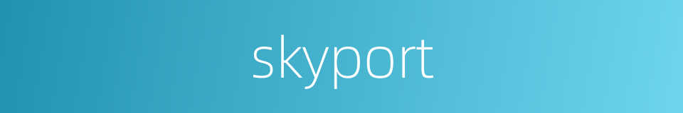 skyport的同义词