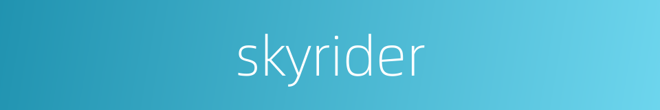 skyrider的同义词