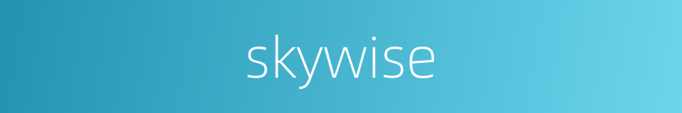 skywise的同义词