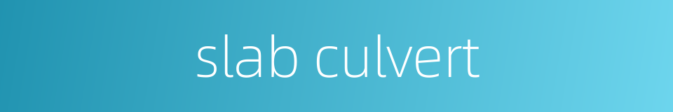slab culvert的同义词