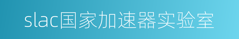 slac国家加速器实验室的同义词