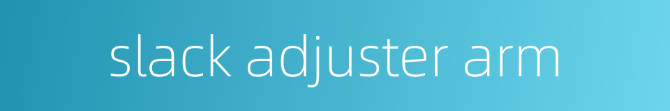 slack adjuster arm的同义词