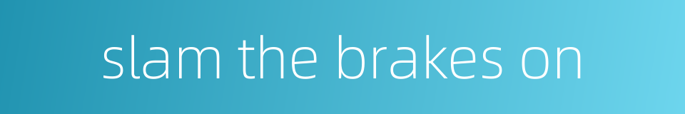 slam the brakes on的同义词