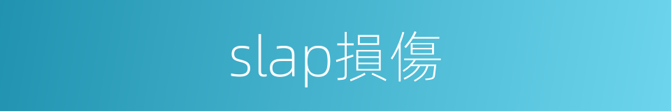 slap損傷的同義詞