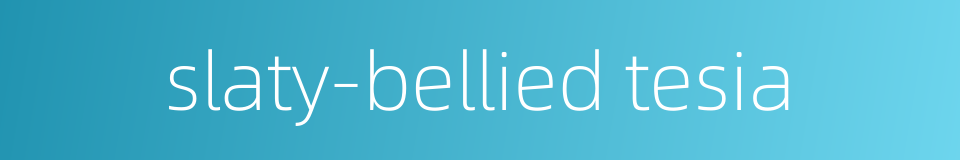 slaty-bellied tesia的同义词