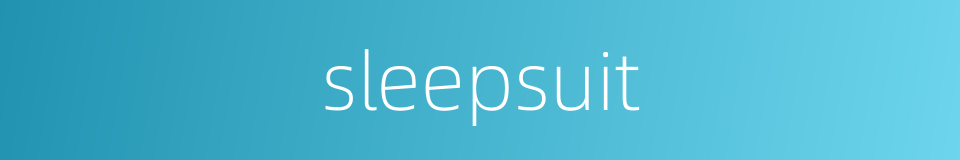 sleepsuit的同义词