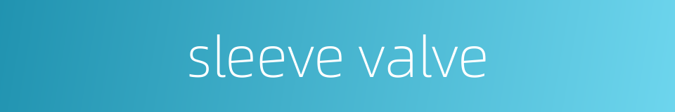 sleeve valve的同义词