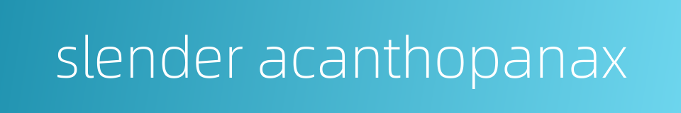 slender acanthopanax的同义词