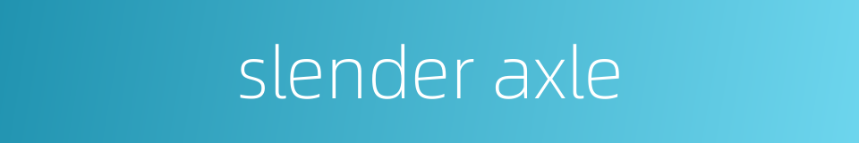 slender axle的同义词