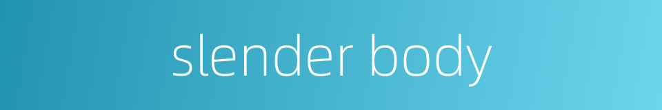 slender body的同义词