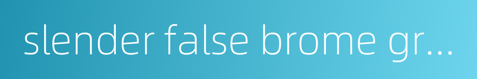 slender false brome grass的同义词