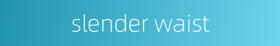 slender waist的同义词