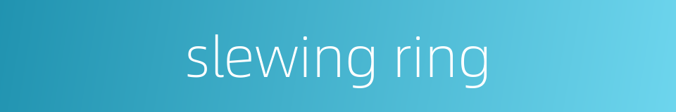 slewing ring的同义词