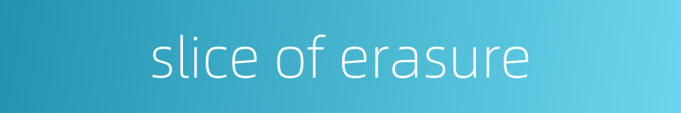 slice of erasure的同义词