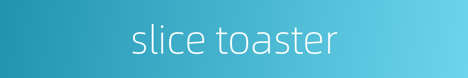 slice toaster的同义词