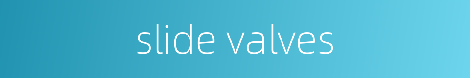 slide valves的同义词