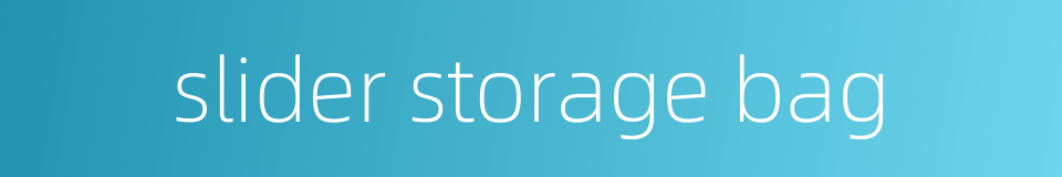 slider storage bag的同义词