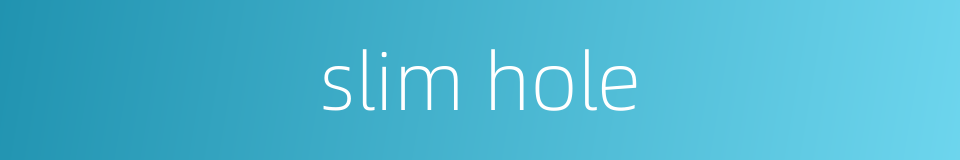 slim hole的同义词