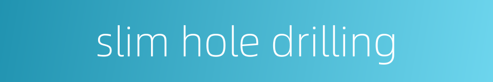 slim hole drilling的同义词
