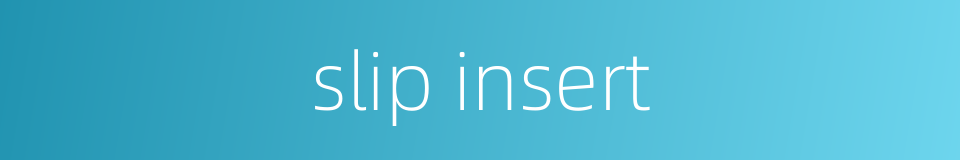 slip insert的同义词