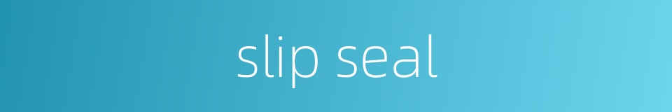 slip seal的同义词