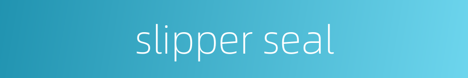 slipper seal的同义词