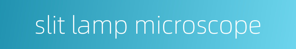slit lamp microscope的同义词
