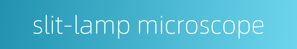 slit-lamp microscope的同义词