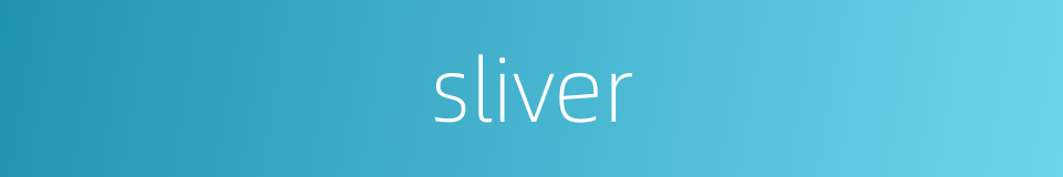 sliver的同义词