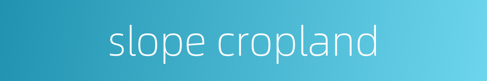 slope cropland的同义词