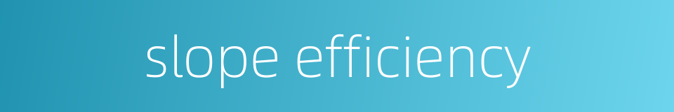 slope efficiency的同义词