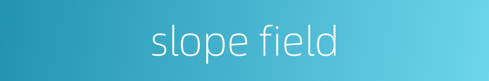 slope field的同义词