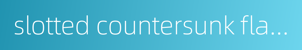 slotted countersunk flat head drive screw的同义词