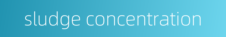 sludge concentration的同义词