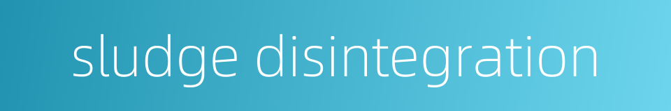 sludge disintegration的同义词