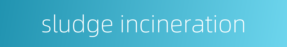 sludge incineration的同义词