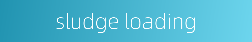 sludge loading的同义词