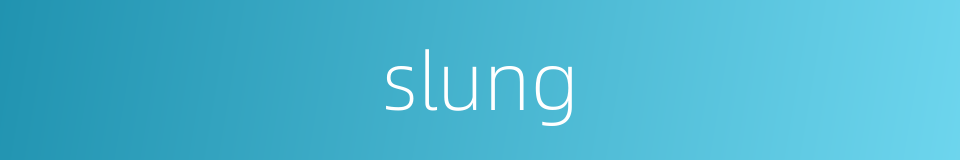 slung的同义词