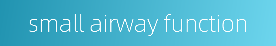 small airway function的同义词