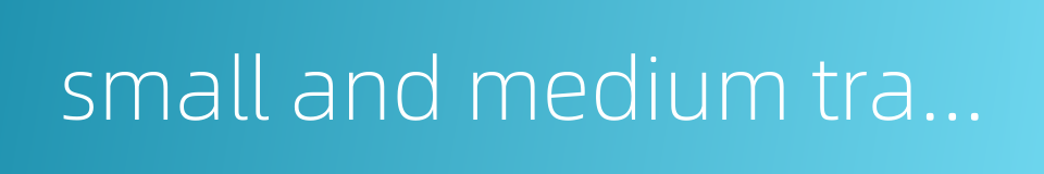 small and medium travel agency的同义词